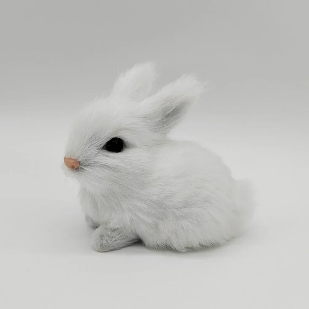 AROV PET