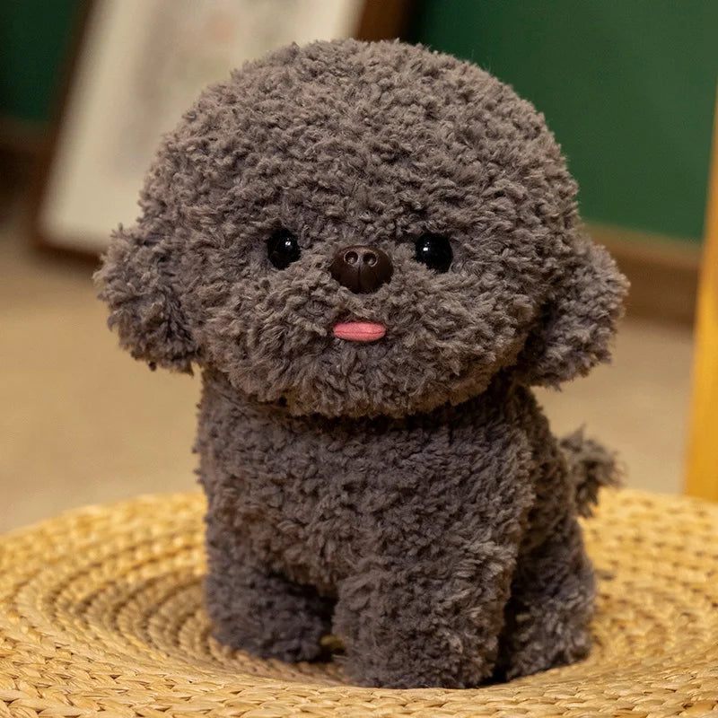 Silly Bichon Puppy