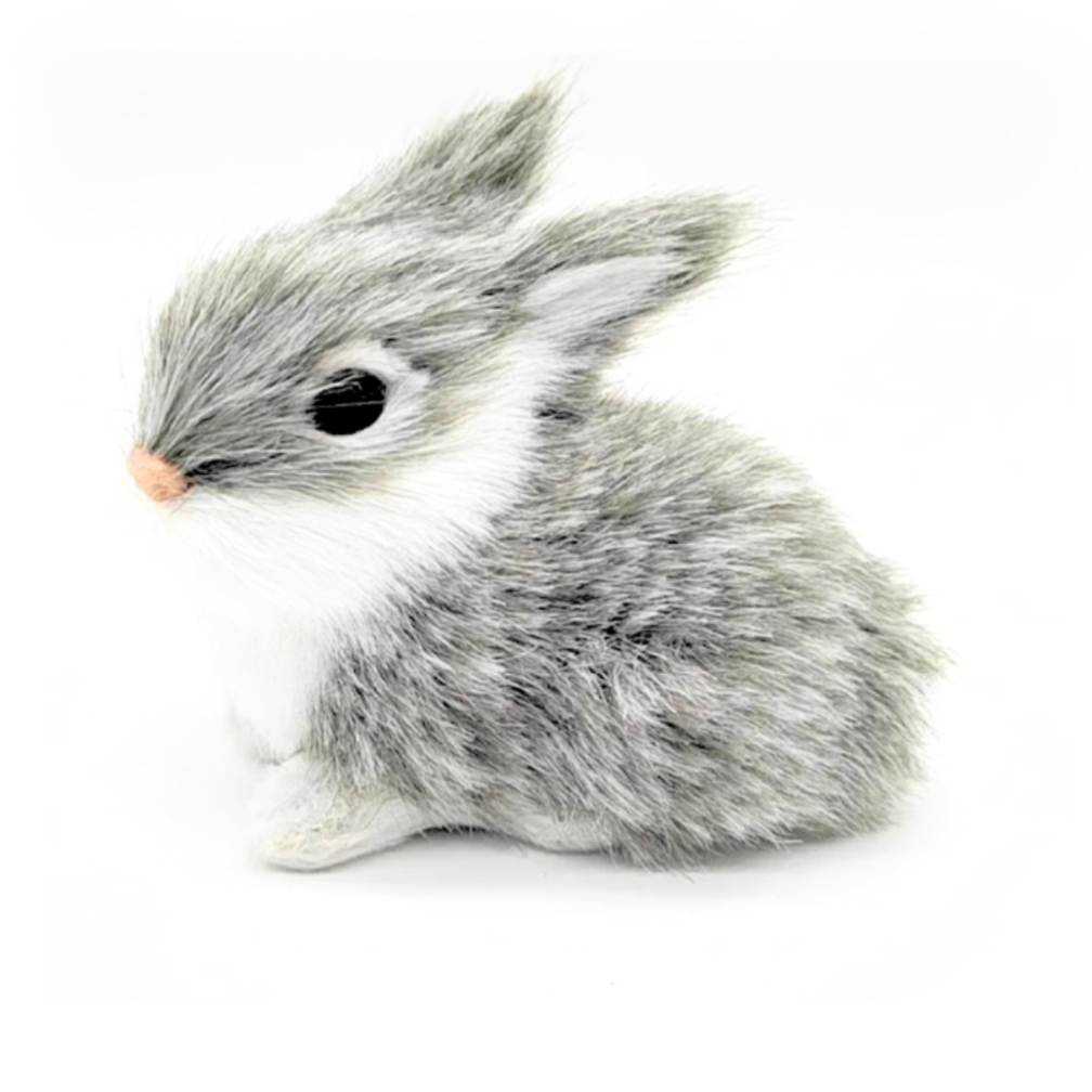 our other pets