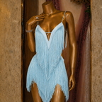 Swan Tassel Dress