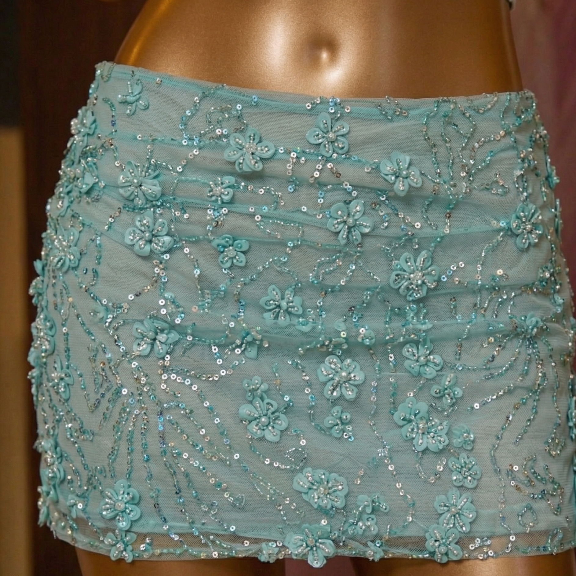 Bikaneri Beaded Skirt