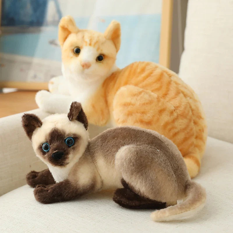 Siamese Kitty