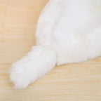 Maltese Pup