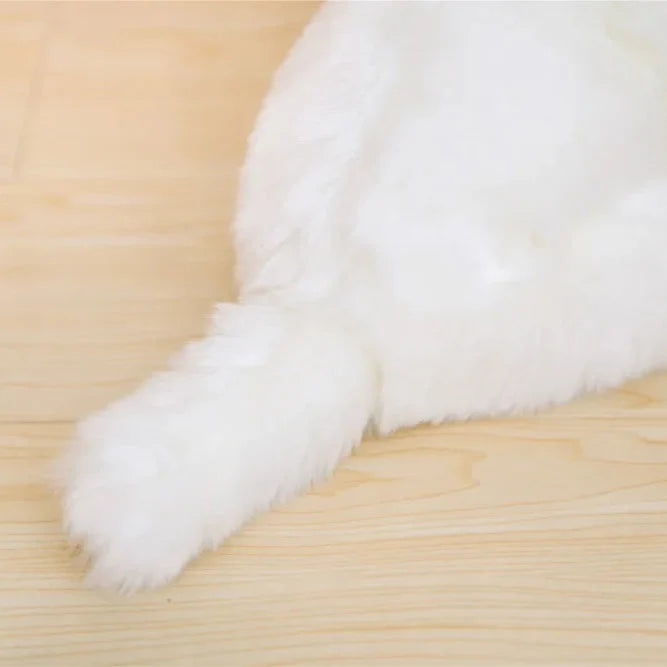 Maltese Pup