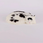 moo cat