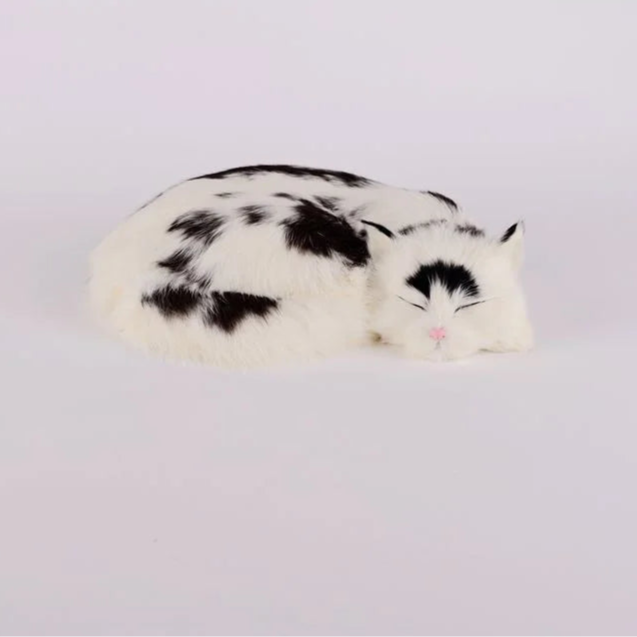 moo cat