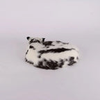 moo cat