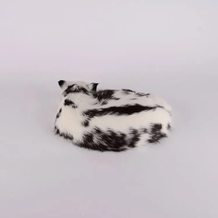 moo cat