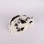 moo cat