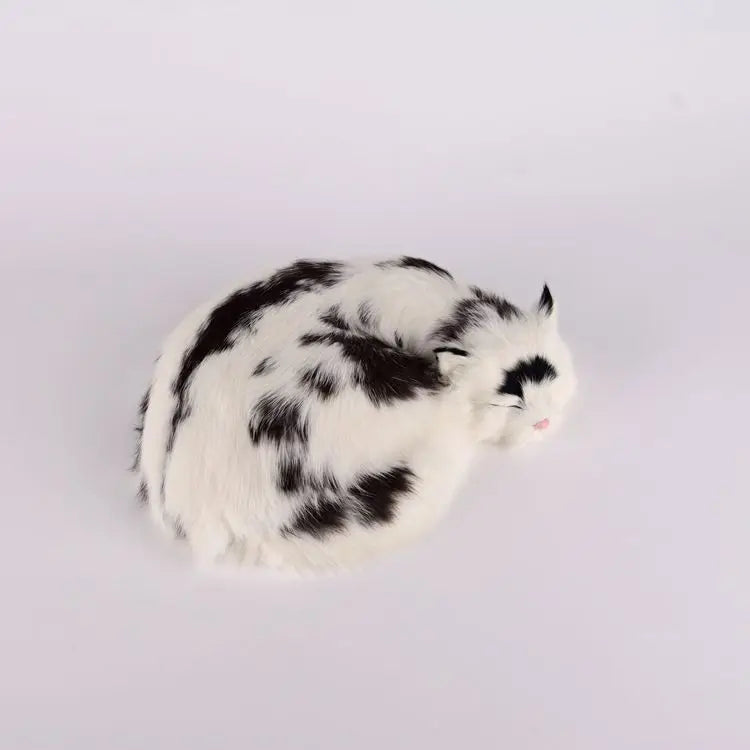 moo cat