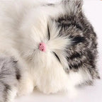 Sleepy Baby Kitty
