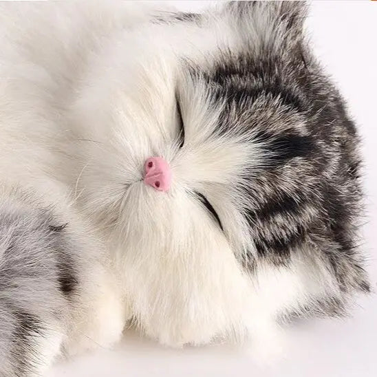 Sleepy Baby Kitty