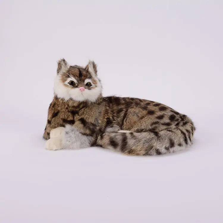 snow leopard cat