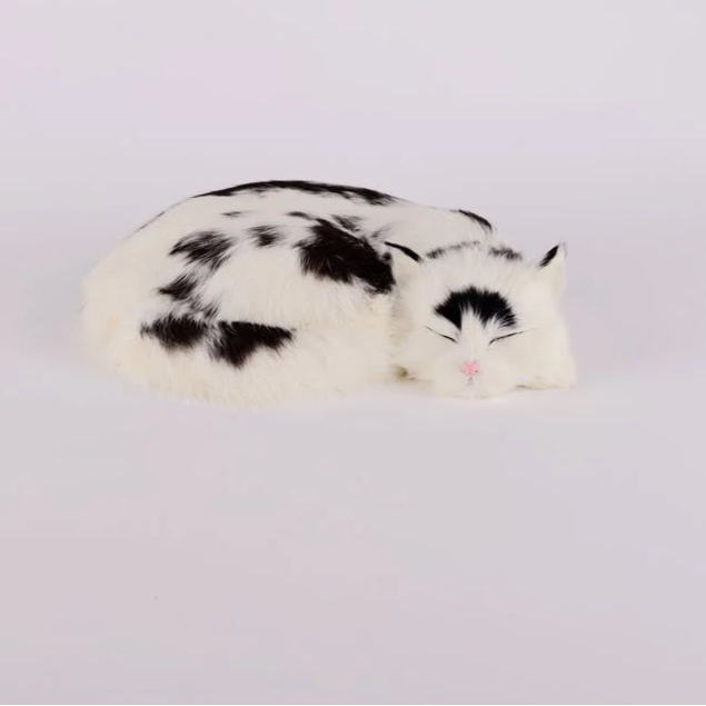 moo cat