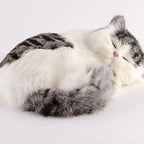 Sleepy Baby Kitty