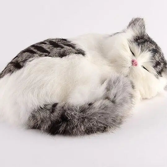 Sleepy Baby Kitty