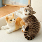 Siamese Kitty