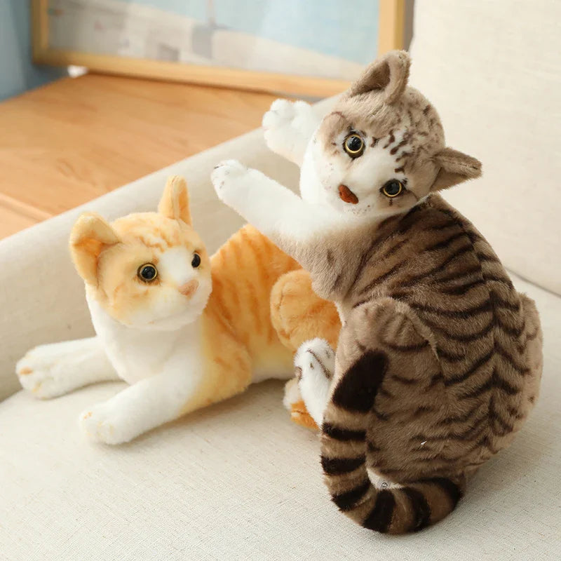 Siamese Kitty