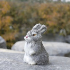 Big Boss Rabbit