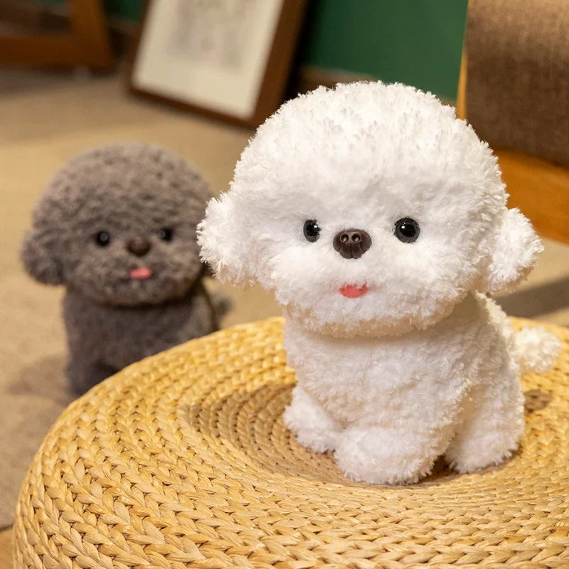 Silly Bichon Puppy