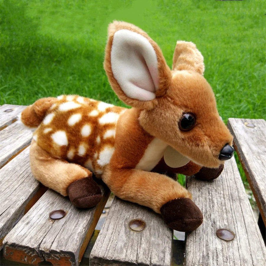 Baby Bambi