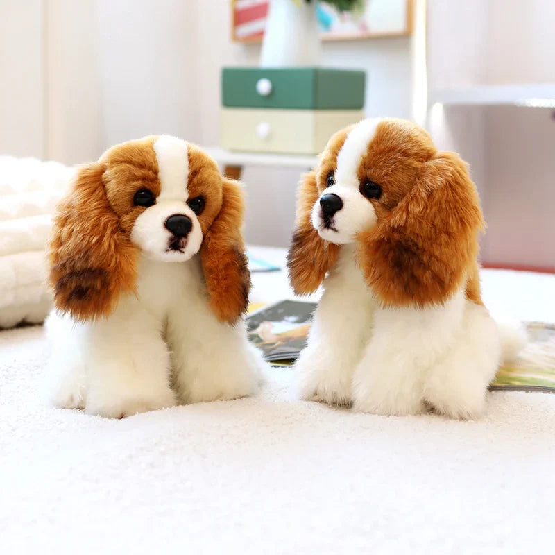 Cavalier King Charles Pup