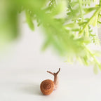 Mini Snail Pet