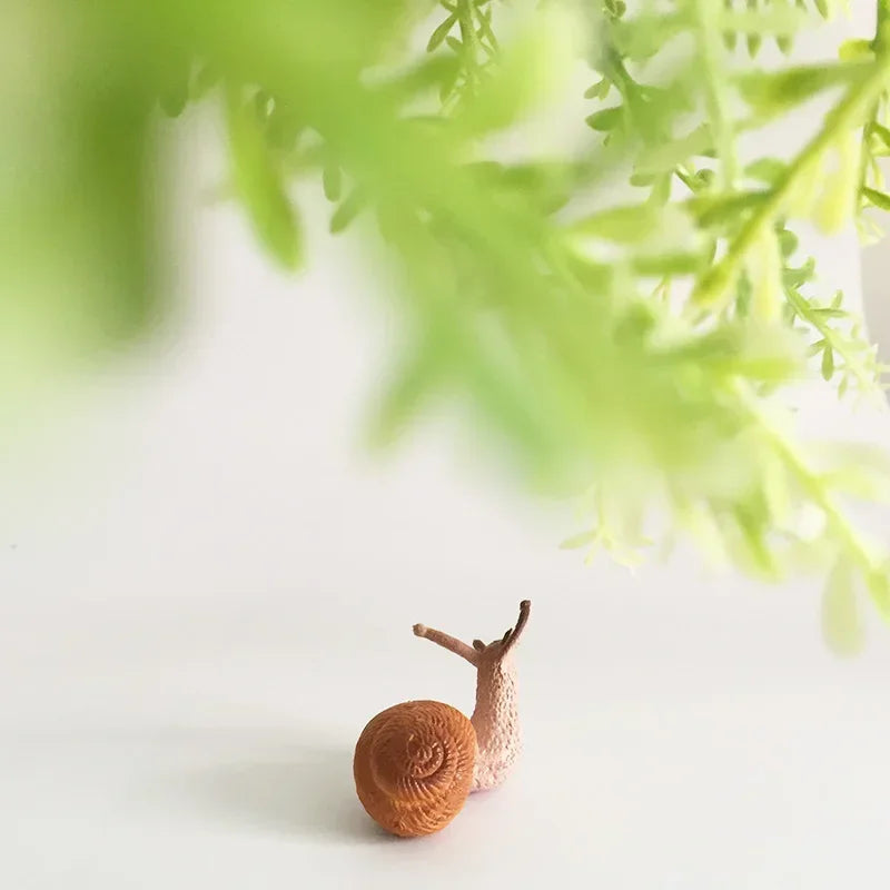 Mini Snail Pet
