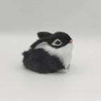 Mini Baby Bunny