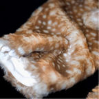 Chunky Deer Leg Warmers
