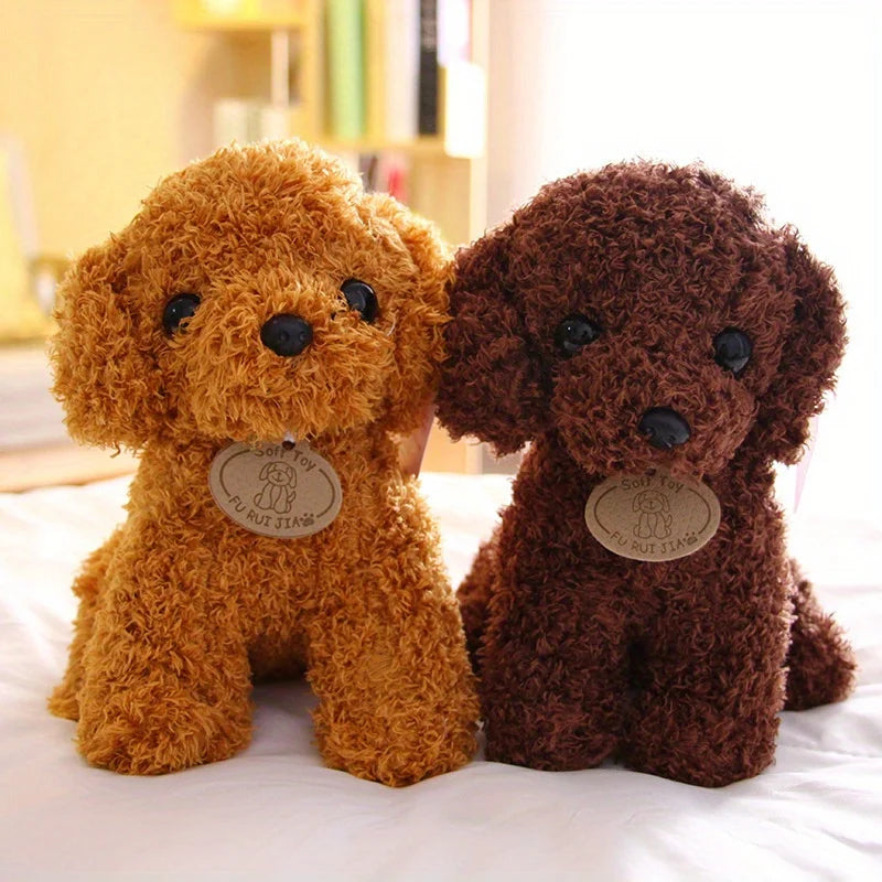 Teddy Pup