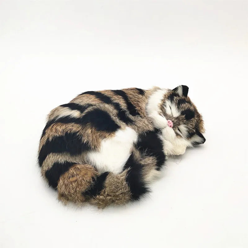 sleeping tiger kitten