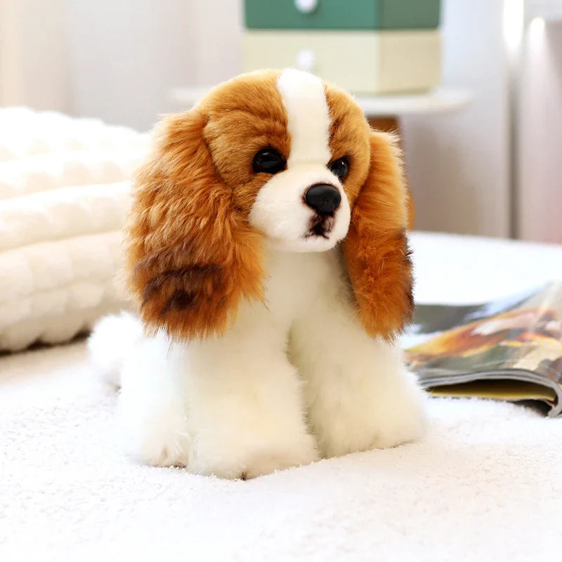 Cavalier King Charles Pup