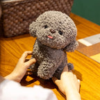 Silly Bichon Puppy