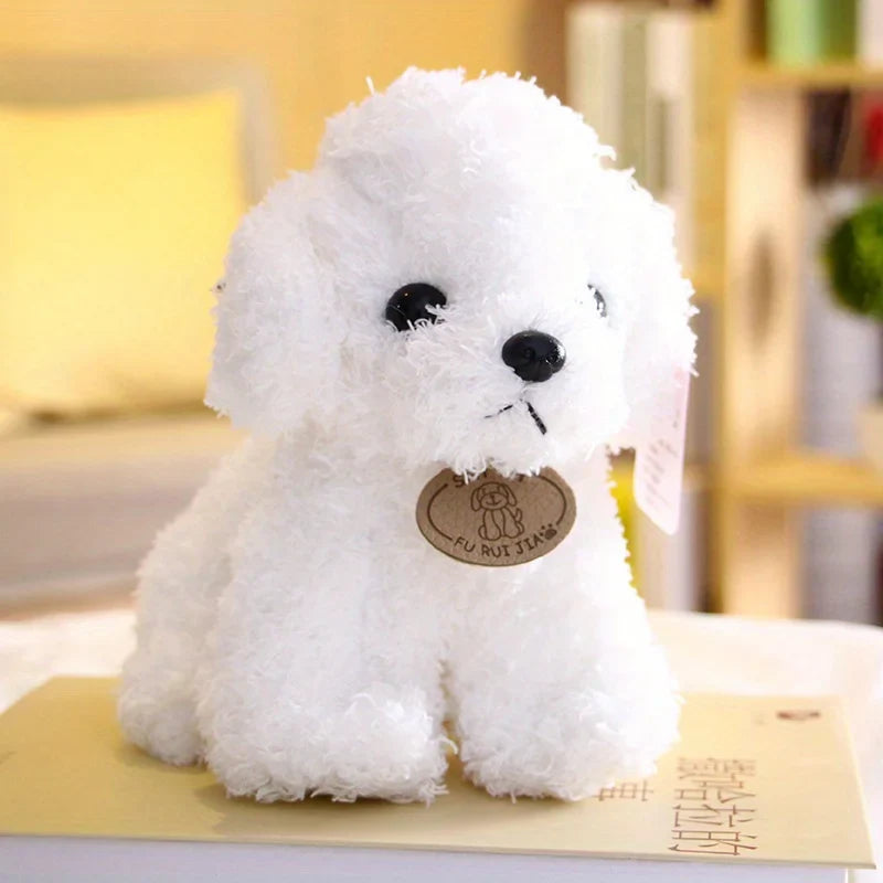 Teddy Pup