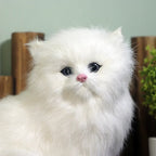 Aristocrat Kitty