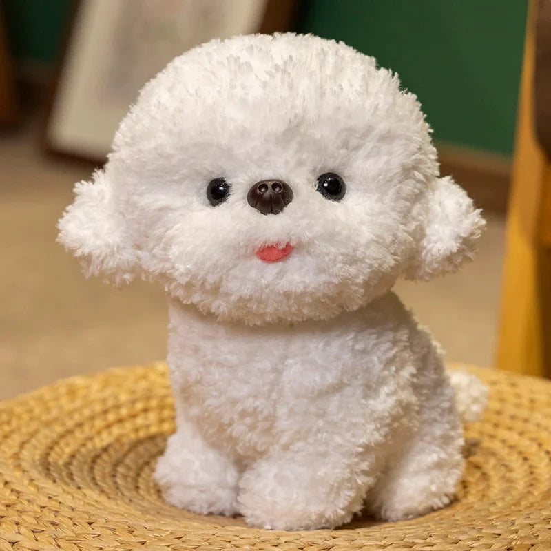 Silly Bichon Puppy
