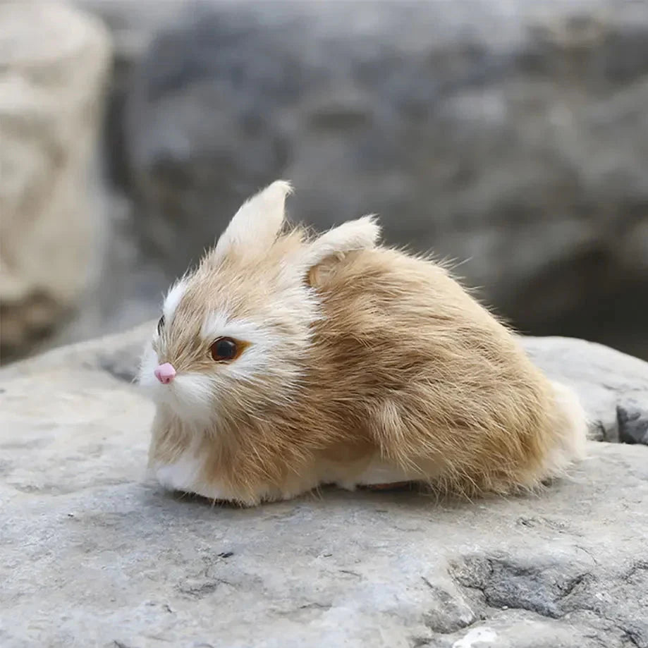 Big Boss Rabbit