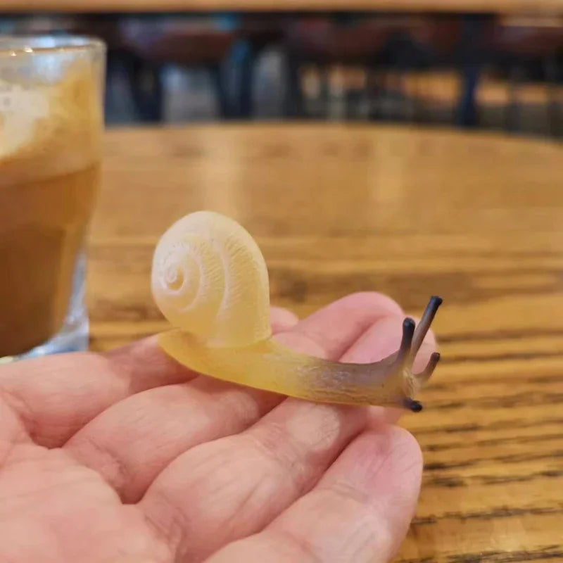 Mini Snail Pet