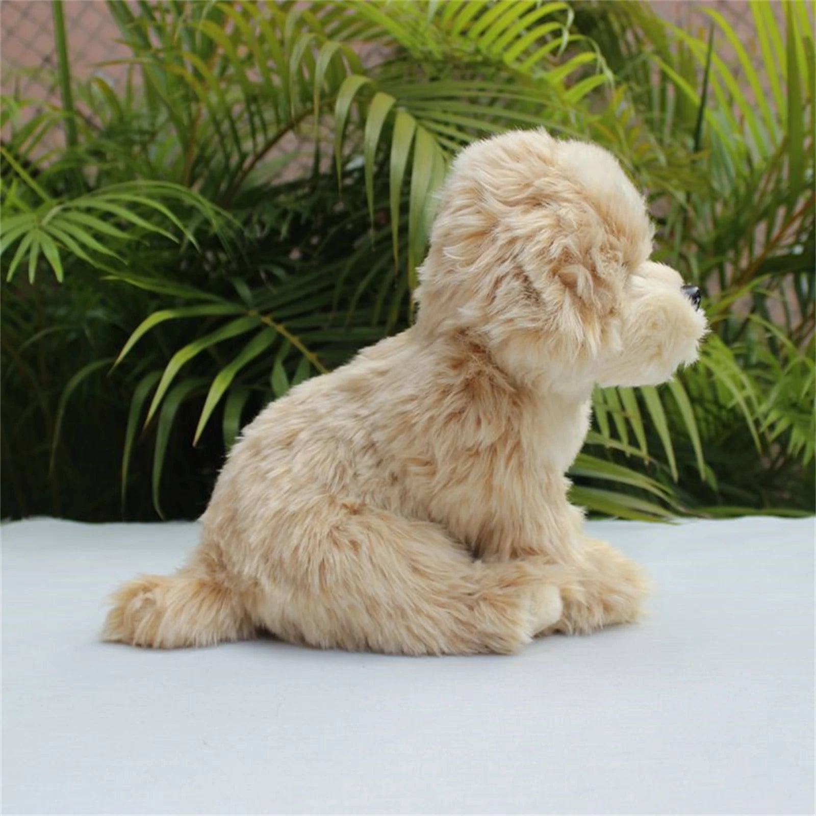 Baby Shih Tzu