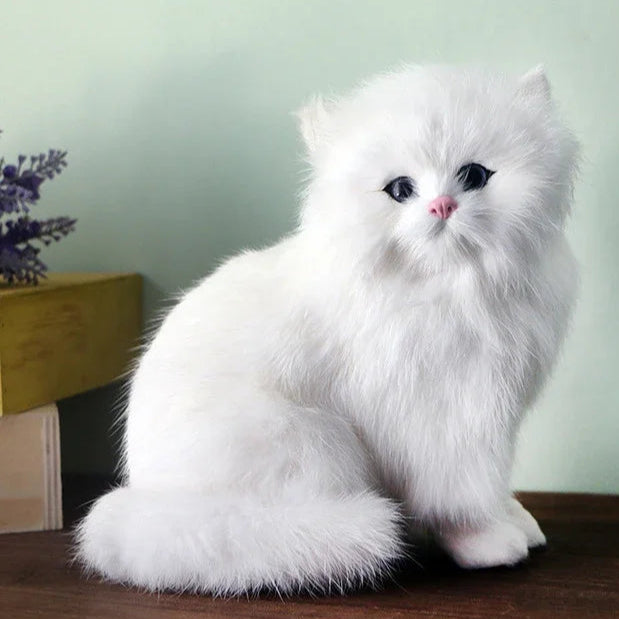 Aristocrat Kitty