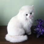 Aristocrat Kitty