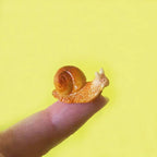 Mini Snail Pet