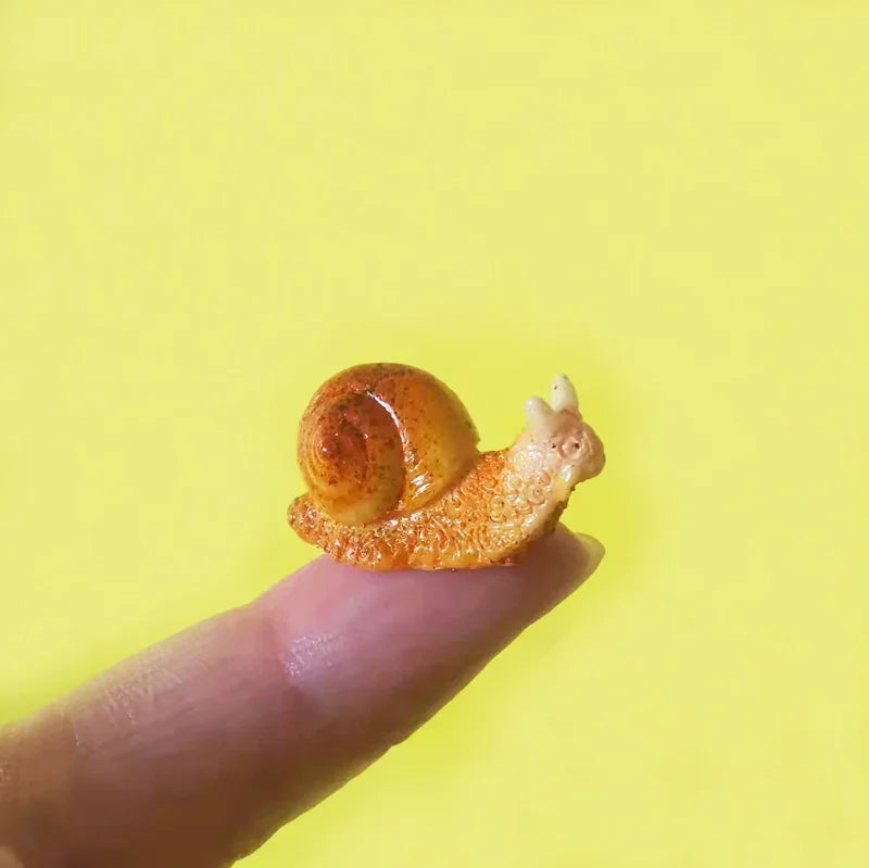 Mini Snail Pet