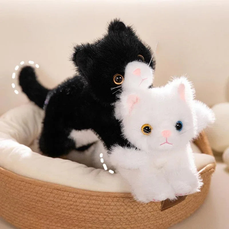 Soft Cloud Kitty