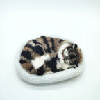 sleeping tiger kitten