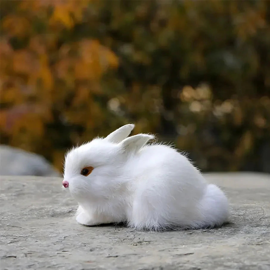 Big Boss Rabbit