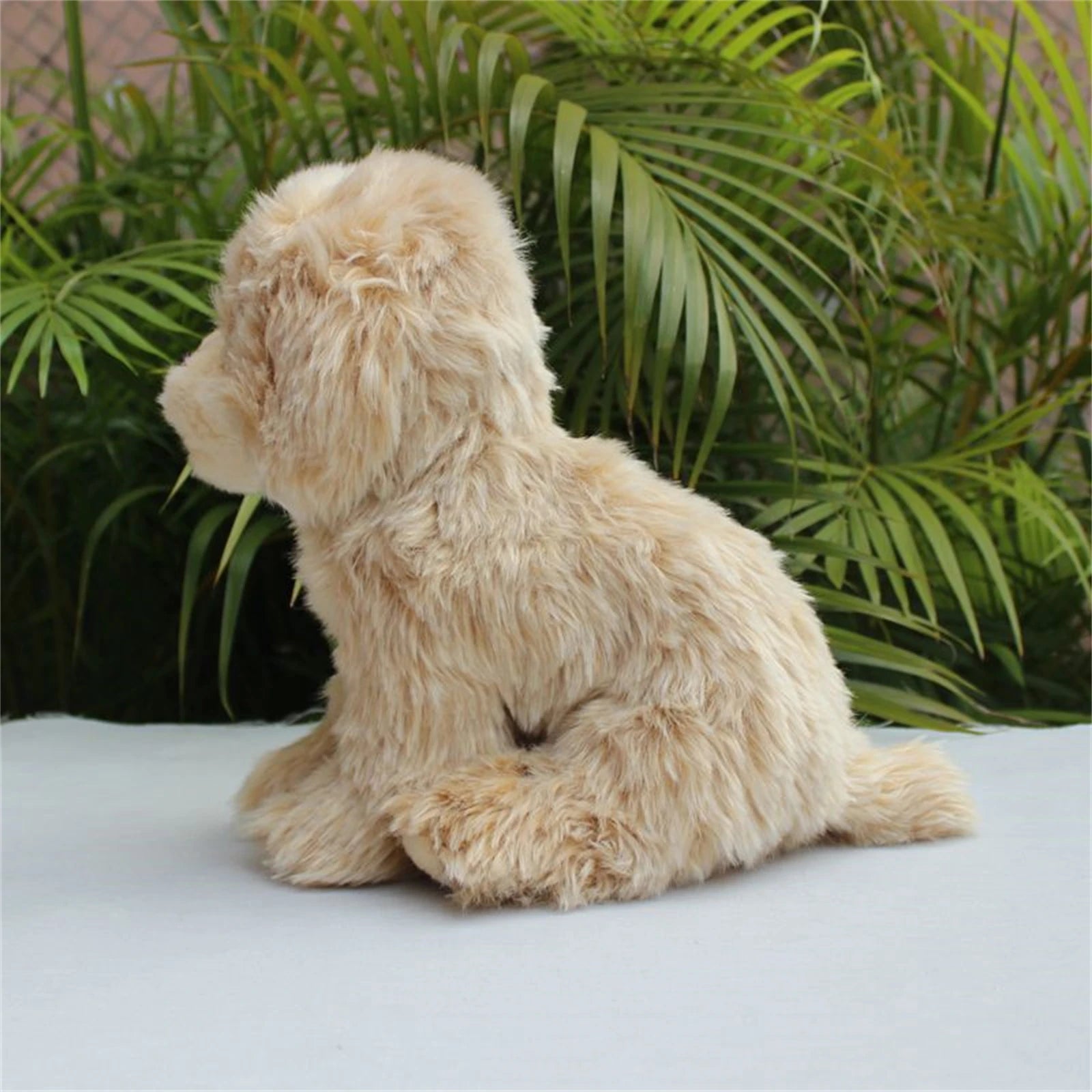 Baby Shih Tzu
