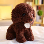 Teddy Pup