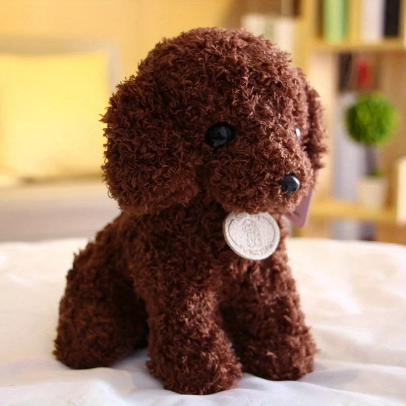 Teddy Pup